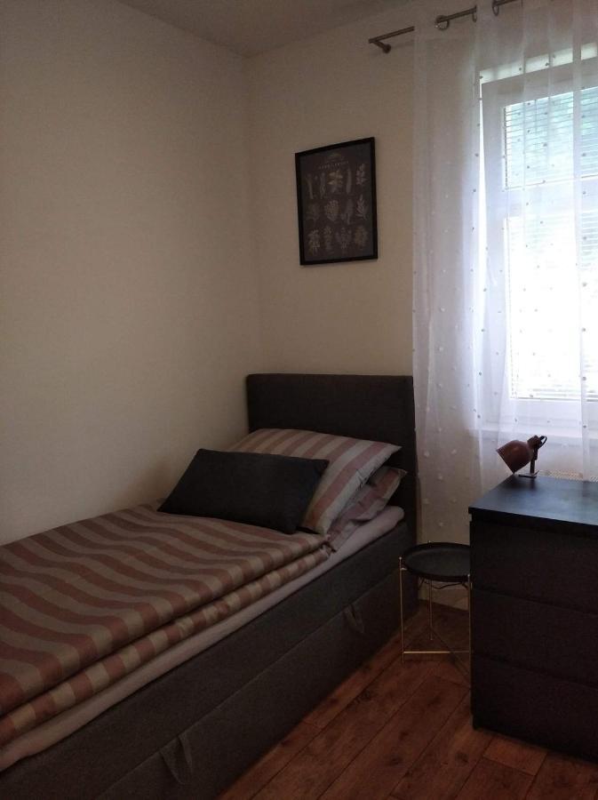 Appartement Kozel 1 à Janské Lázně Extérieur photo