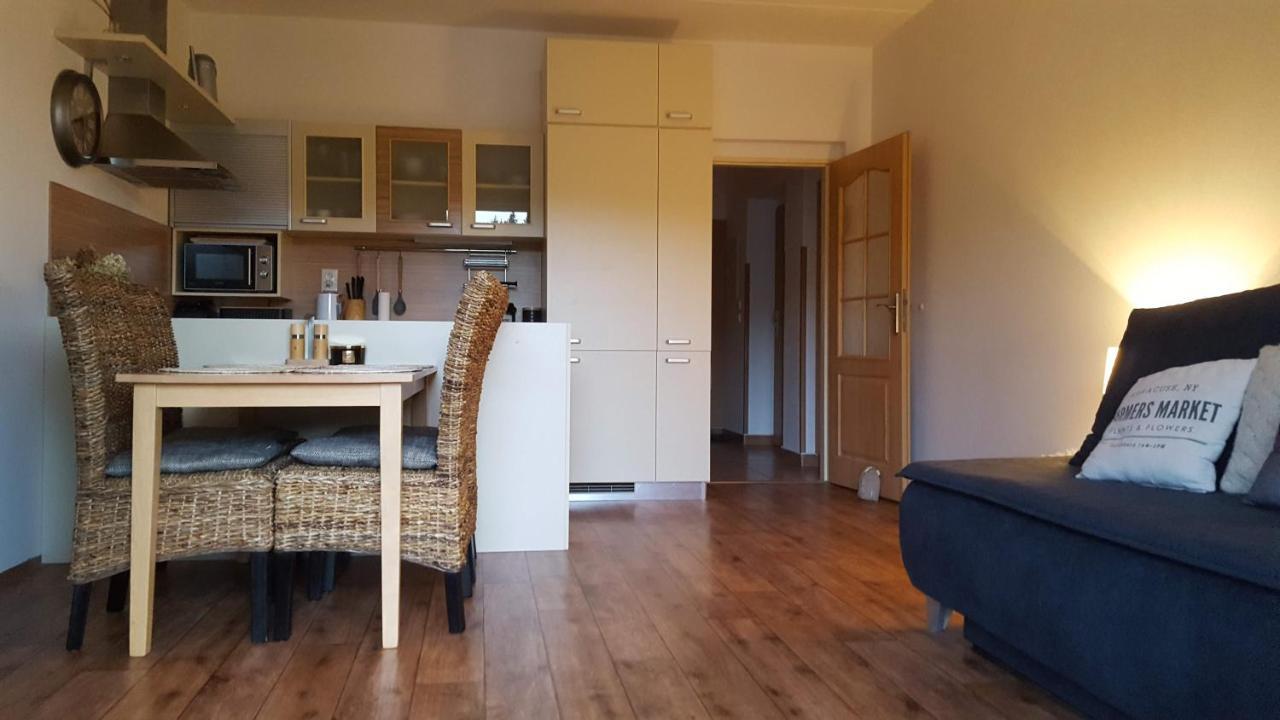 Appartement Kozel 1 à Janské Lázně Extérieur photo